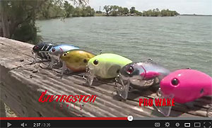 Pro-Wake Crankbait