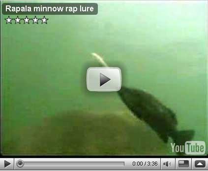Minnow Rap