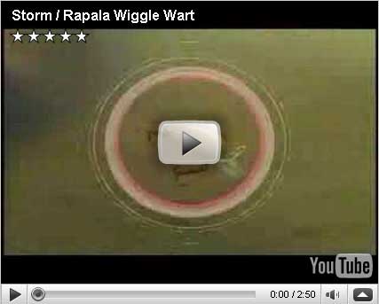 Storm Wiggle Wart MadFlash Video